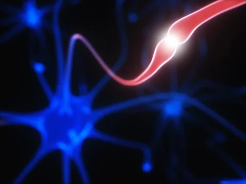 Neurons Electrical Pulses Stock Illustration