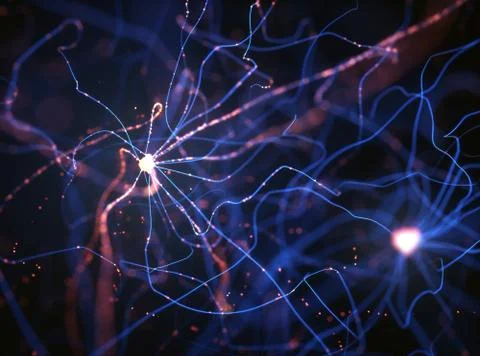 Neurons Electrical Pulses Stock Illustration