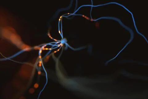 Neurons Electrical Pulses Stock Illustration