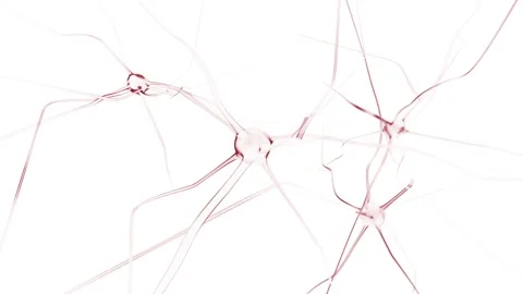 Neurons flickering isolated on white background Vidéo 228094702