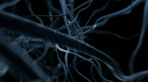 Neurons Stock Footage 141651