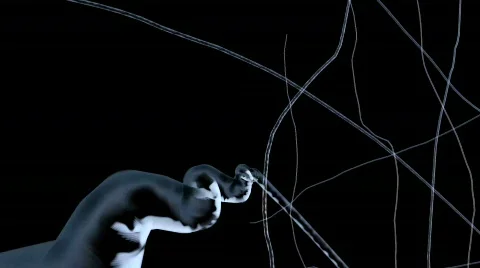 Neurons 스톡 동영상 278597