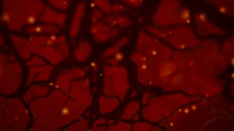 Neurons Stock Footage 983119