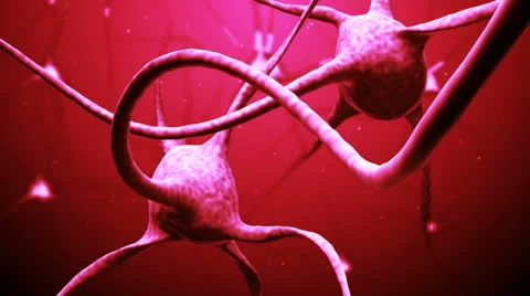Neurons Video stock 23457572