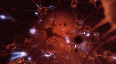 Neurons Stock Footage 37243969