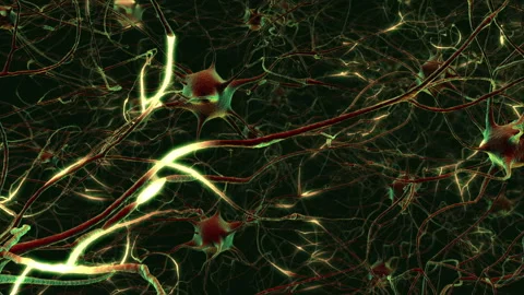 Neurons Stock Footage 98558085