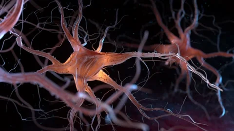 Neurons Stock Footage 237016069