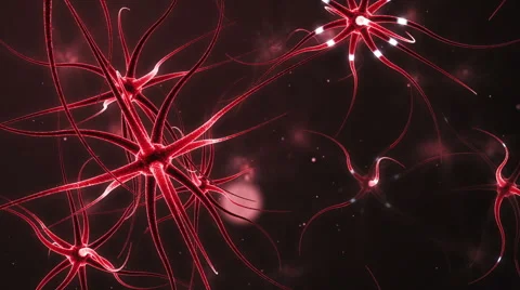 Neurons forming a neural network Stock Footage 46174194