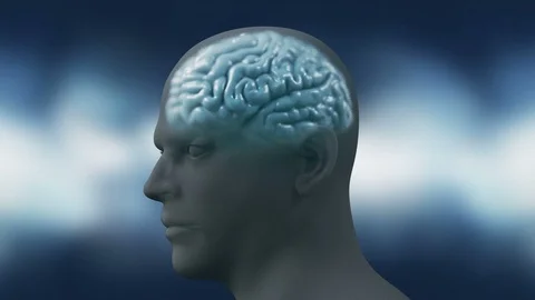 Neurons in the head - flight, neuroactivity, synapses, Neurotransmitters, brain Stock Footage 122825439