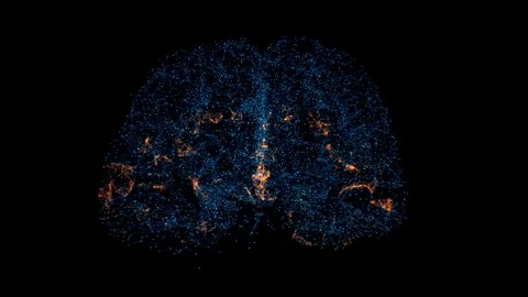 Neurons in the head - flight, neuroactivity, synapses, Neurotransmitters, brain Stock-Footage 127154356