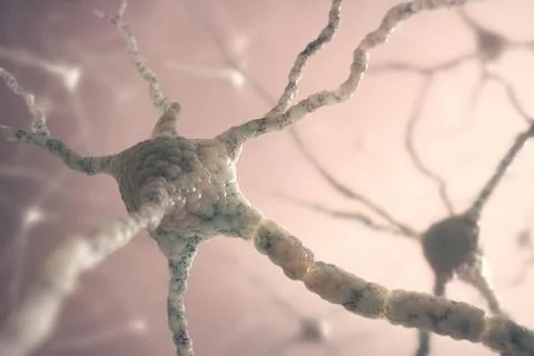 Neurons Stock Illustration