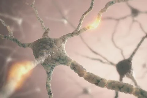 Neurons Stock Illustration