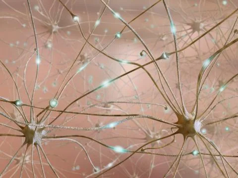 Neurons Stock Illustration