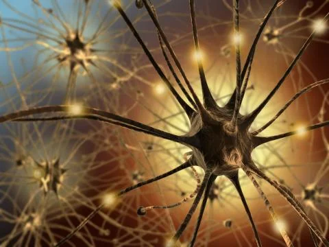 Neurons Stock Illustration