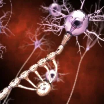 Neurons Иллюстрация