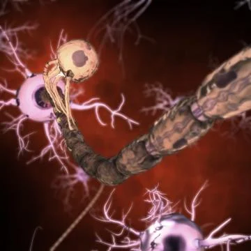 Neurons Иллюстрация