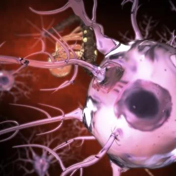 Neurons Иллюстрация