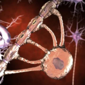 Neurons Иллюстрация