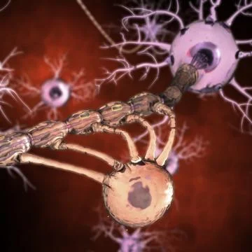 Neurons Иллюстрация