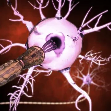 Neurons Иллюстрация