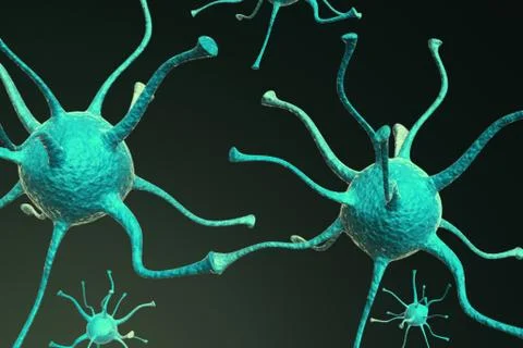 Neurons Stock Illustration