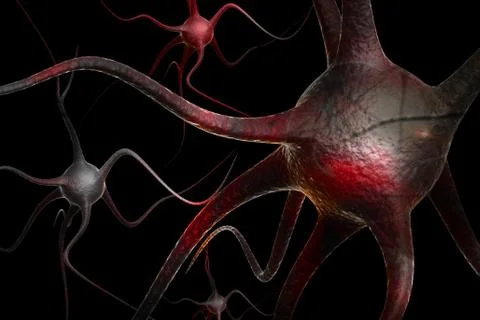 Neurons. Stock Illustration