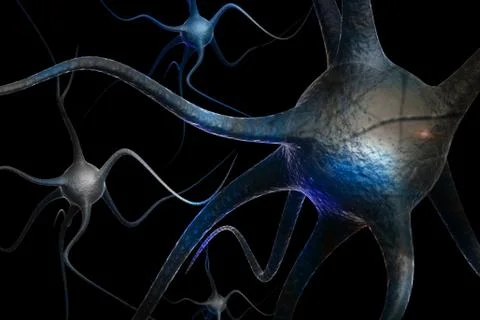 Neurons. Stock Illustration