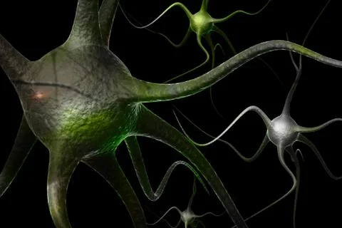 Neurons. Stock Illustration