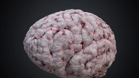 Neurons inside human brain. Camera moves through neuron cells. Stock Footage