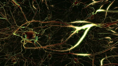 Neurons Loop Stock Footage 98558097