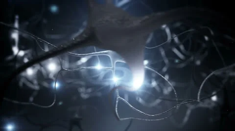 Neurons. Loopable. Black background. Stock Footage 25029689