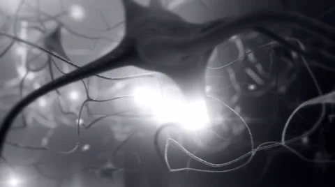 Neurons. Loopable. Gray. 스톡 동영상 26448965