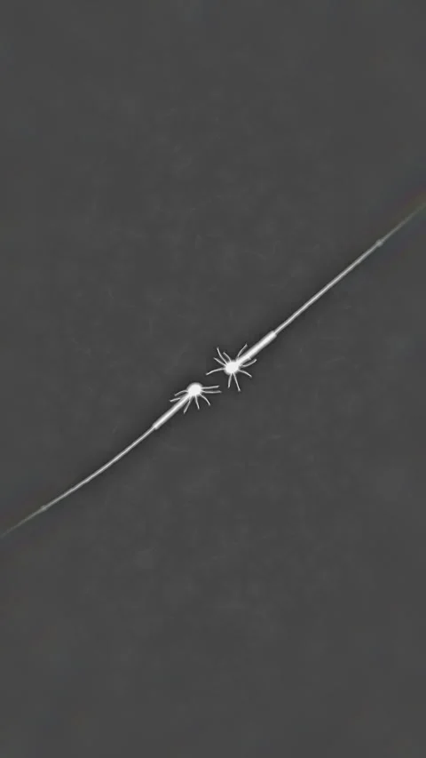 Neurons making new connection, animation, 9x16 Stockbeeldmateriaal 344395854