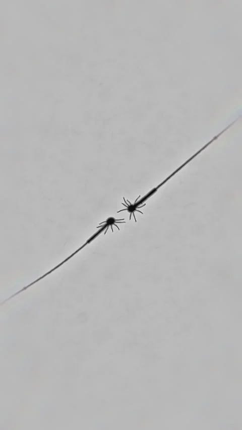 Neurons making new connection, animation, 9x16 Stockbeeldmateriaal 344395870