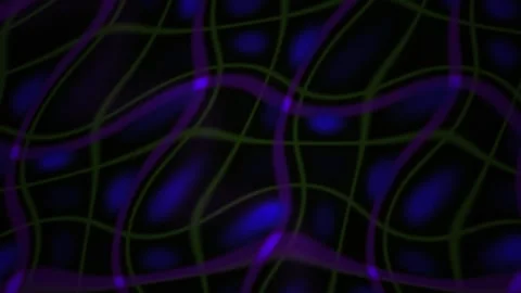 Neurons Network Brain Cells Connections. Stock Footage 340039743
