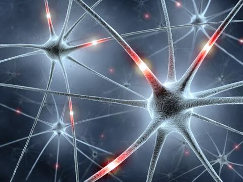 Neurons Network Stock Illustration