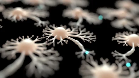Neurons neural network brain cells synapse medical bg able to loop endless Stock Footage 337471614
