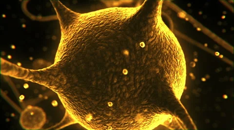Neurons orange Stock Footage 48310214