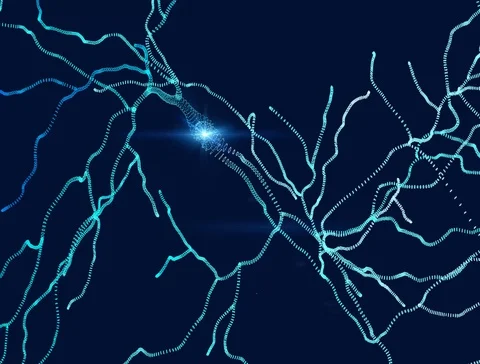 Neurons, synapses, neural network circuit of neurons, brain Stock Footage 85982975