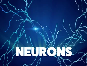 Neurons, synapses, neural network circuit of neurons, brain Stock Footage 85983540