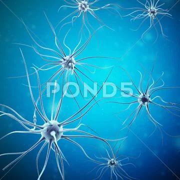 Neurons Transmission Signals In The Head On Blue Background. Synapse, 3D