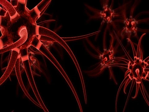 Neurons Transmit Messages In The Brain Stock Footage 77604794