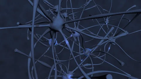 Neurons transmit nerve impulses Stock Footage 49173178