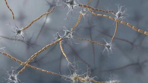 Neurons,Nervous tissues Stock Footage 270991907