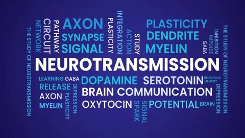 Neurotransmission data word cloud text animation isolated on blue background Stock Footage 334647547