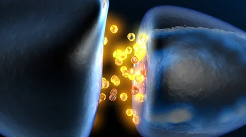 Neurotransmission in the Synapse Video stock 67854130