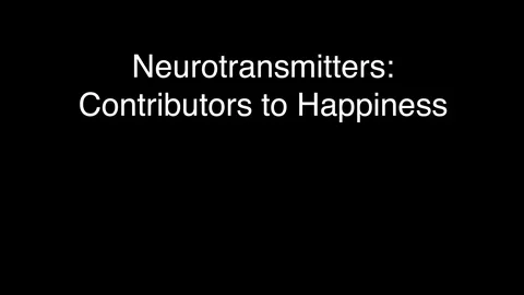 Neurotransmitters Stock Footage 113228402