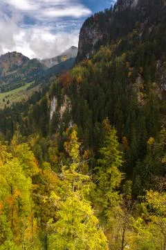 Neuschwanstein castle Stock Photos