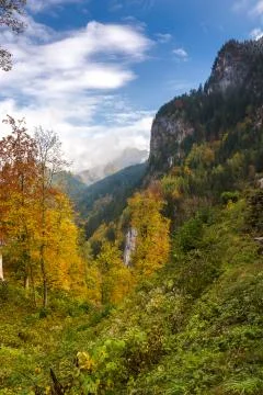 Neuschwanstein castle Stock Photos