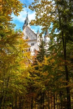 Neuschwanstein castle Stockfoto's